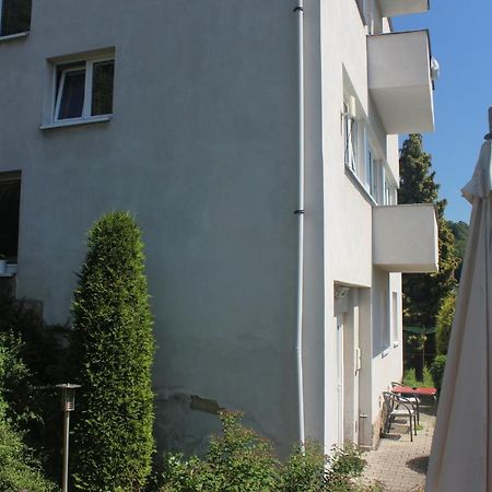 Appartement Privat Zelezny Brod Extérieur photo