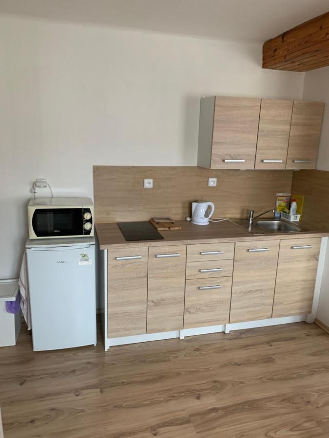 Appartement Privat Zelezny Brod Extérieur photo