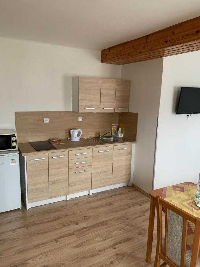 Appartement Privat Zelezny Brod Extérieur photo