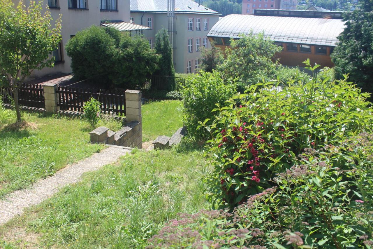 Appartement Privat Zelezny Brod Extérieur photo