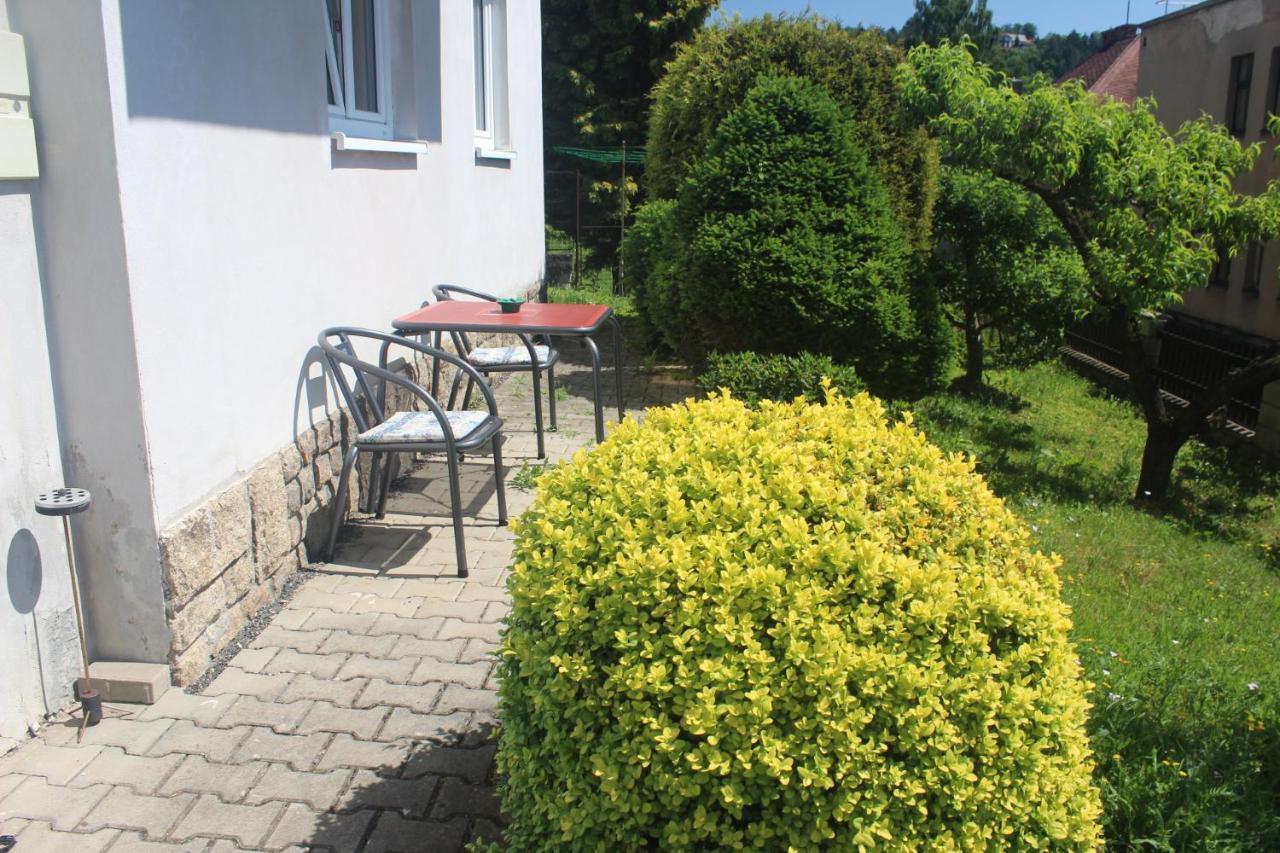 Appartement Privat Zelezny Brod Extérieur photo